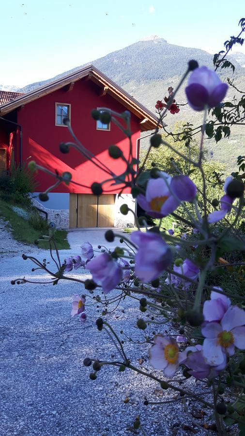 Activity Appartamento Vacanze Spormaggiore Eksteriør billede